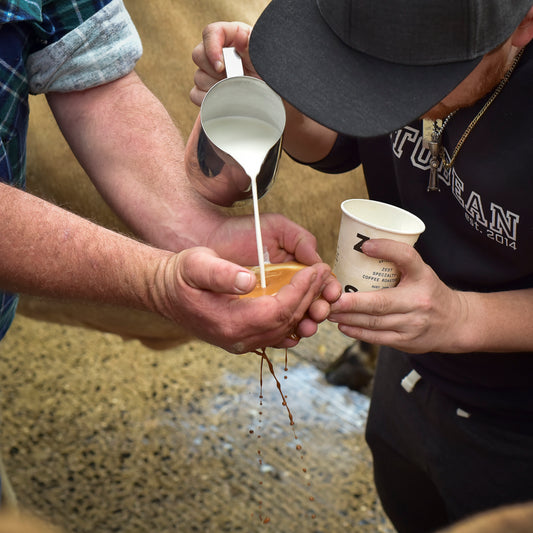 "Victorian farmers call for hipster baristas use more locally sourced milk" - Dani Valent, Good Food Magazine