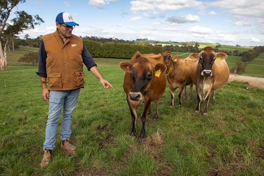 Why choose Jersey Milk over other milk types?