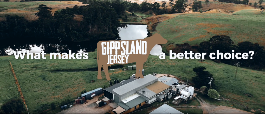 A video of our brands story and why when you choose Gippsland Jersey, you are choosing local